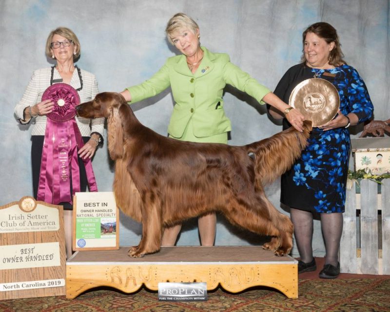 2019 National Specialty – Irish Setter Club Of America, Inc.