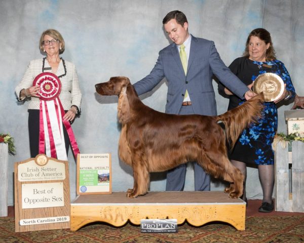 2019 National Specialty – Irish Setter Club Of America, Inc.