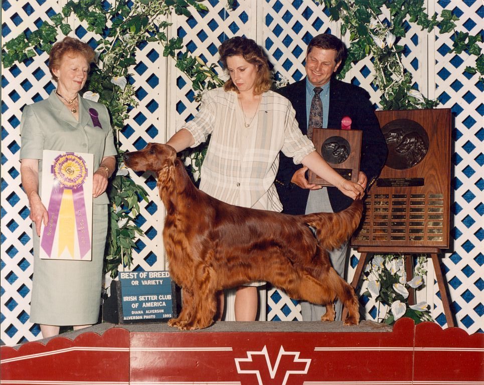 Past National Specialty Winners - Irish Setter Club of America, Inc.