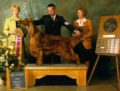 Past National Specialty Winners – Irish Setter Club Of America, Inc.